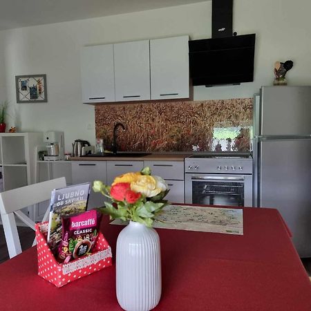 Apartmaji Ribic Ljubno ภายนอก รูปภาพ