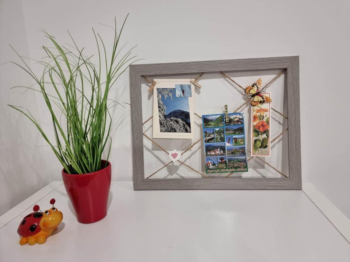Apartmaji Ribic Ljubno ภายนอก รูปภาพ