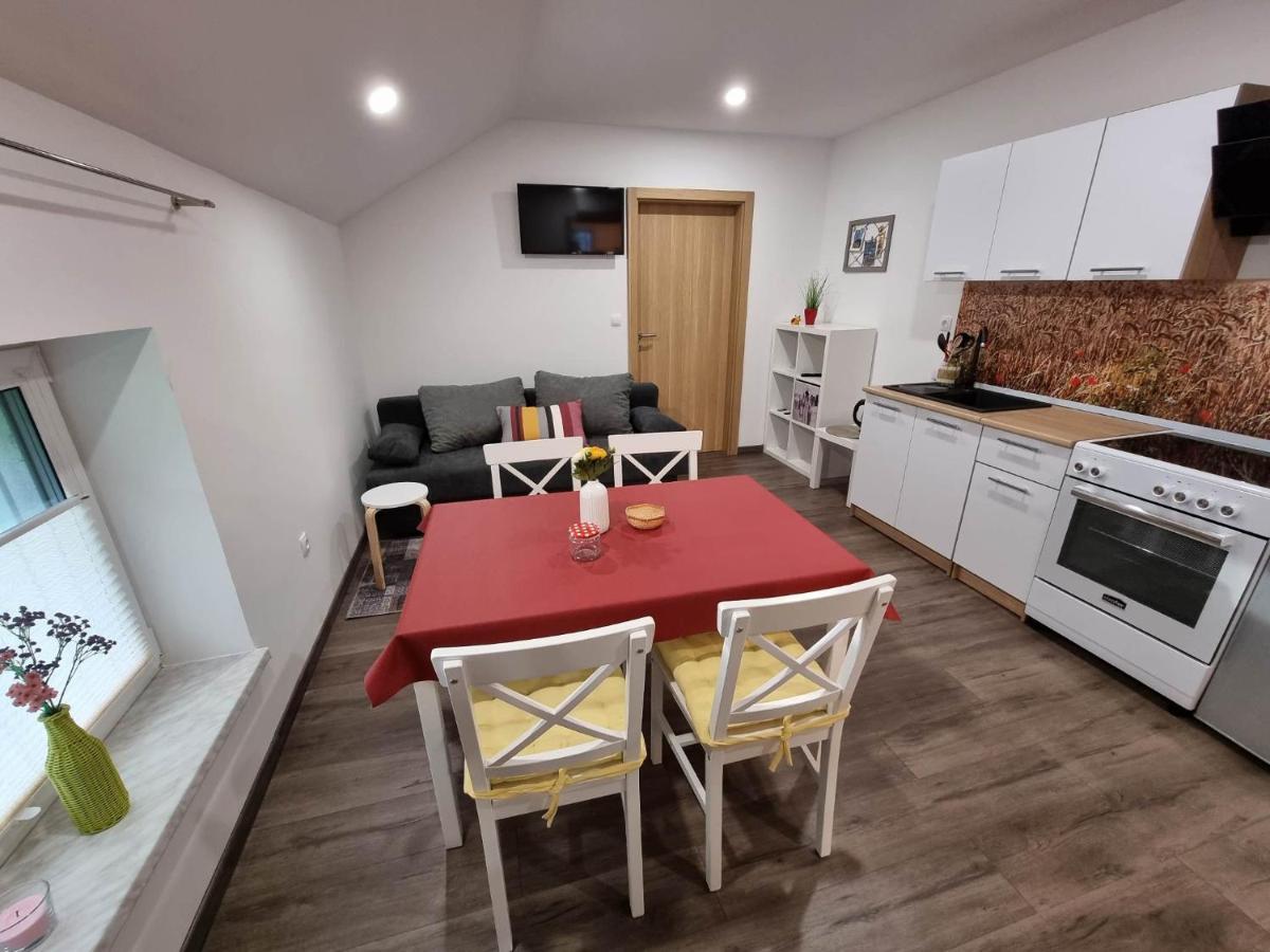 Apartmaji Ribic Ljubno ภายนอก รูปภาพ