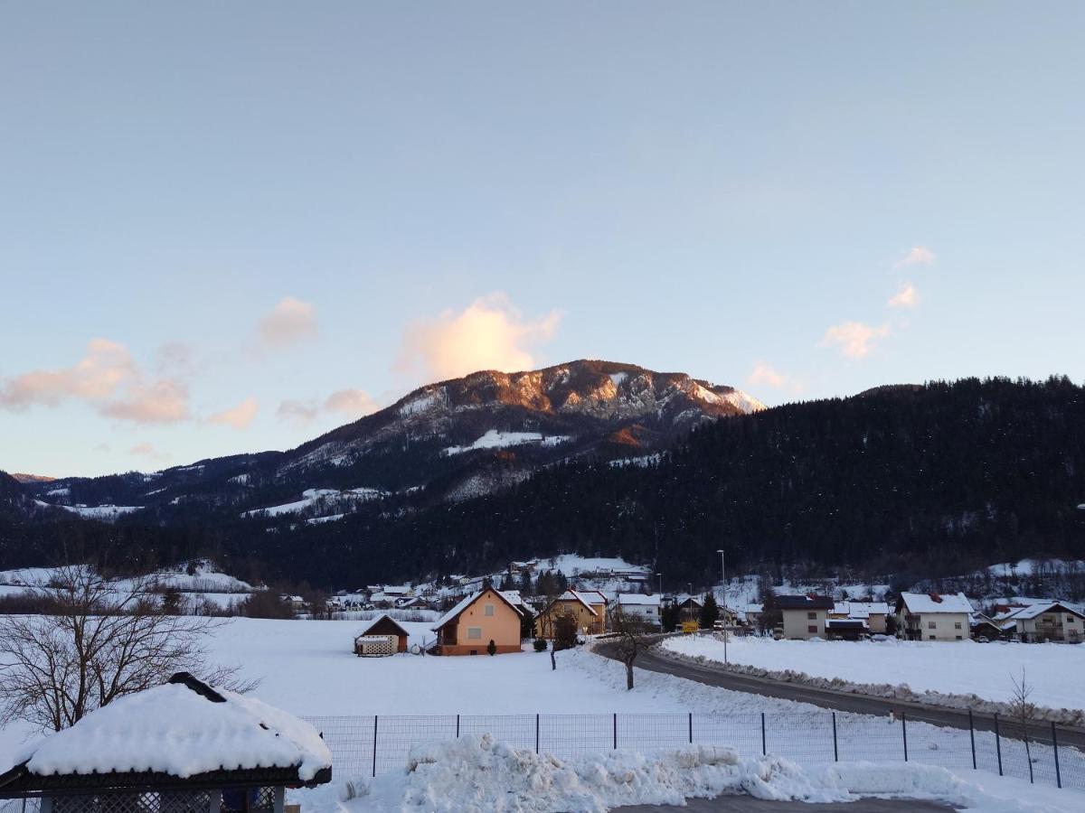 Apartmaji Ribic Ljubno ภายนอก รูปภาพ