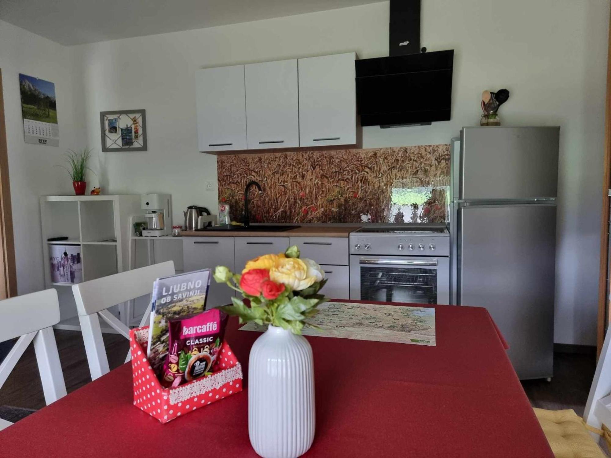 Apartmaji Ribic Ljubno ภายนอก รูปภาพ